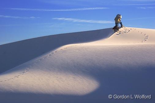 White Sands_32026.jpg - An 8x10 photographer checking out a scenePhotographed at the White Sands National Monument near Alamogordo, New Mexico, USA.
